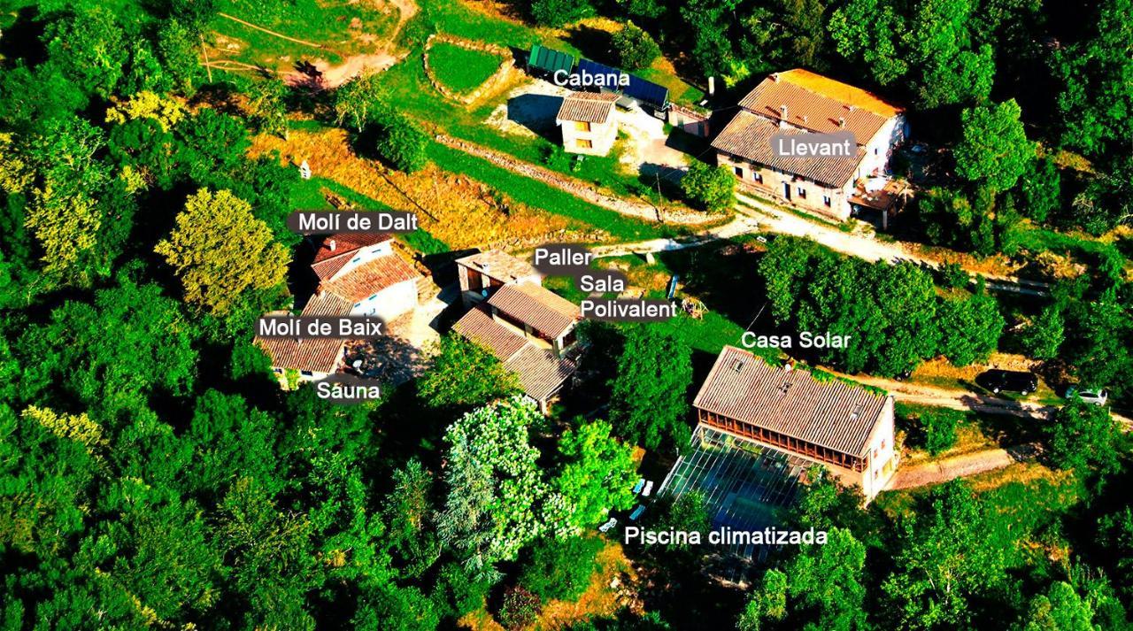 La Cabana Del Moli De La Plana Riudaura Eksteriør bilde
